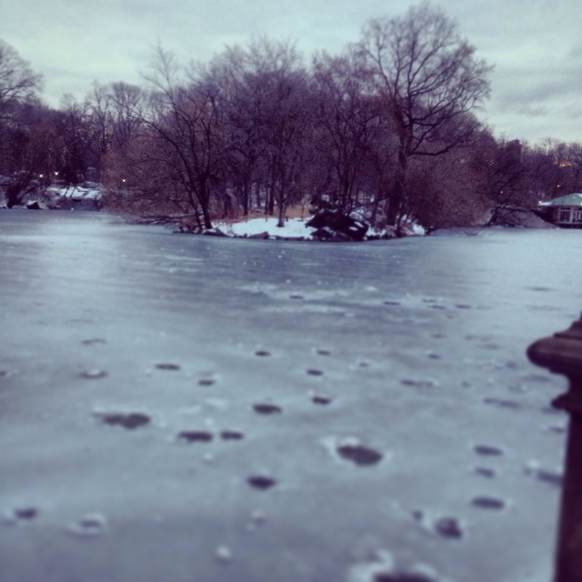 A lake at Central Park in NYC completely frozen from the cold weather and previous snowfall. 12/15/13 Photo By: Anjelica Johnson 